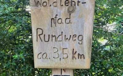 Waldlehrpfad Schulenburger Wald – Die Idee