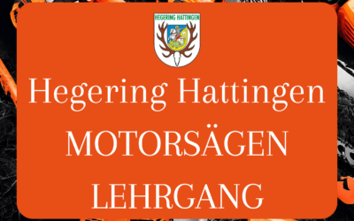 Motorsägenlehrgang