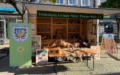 Lernort Natur on Tour auf dem Herbstmarkt in Hattingen
