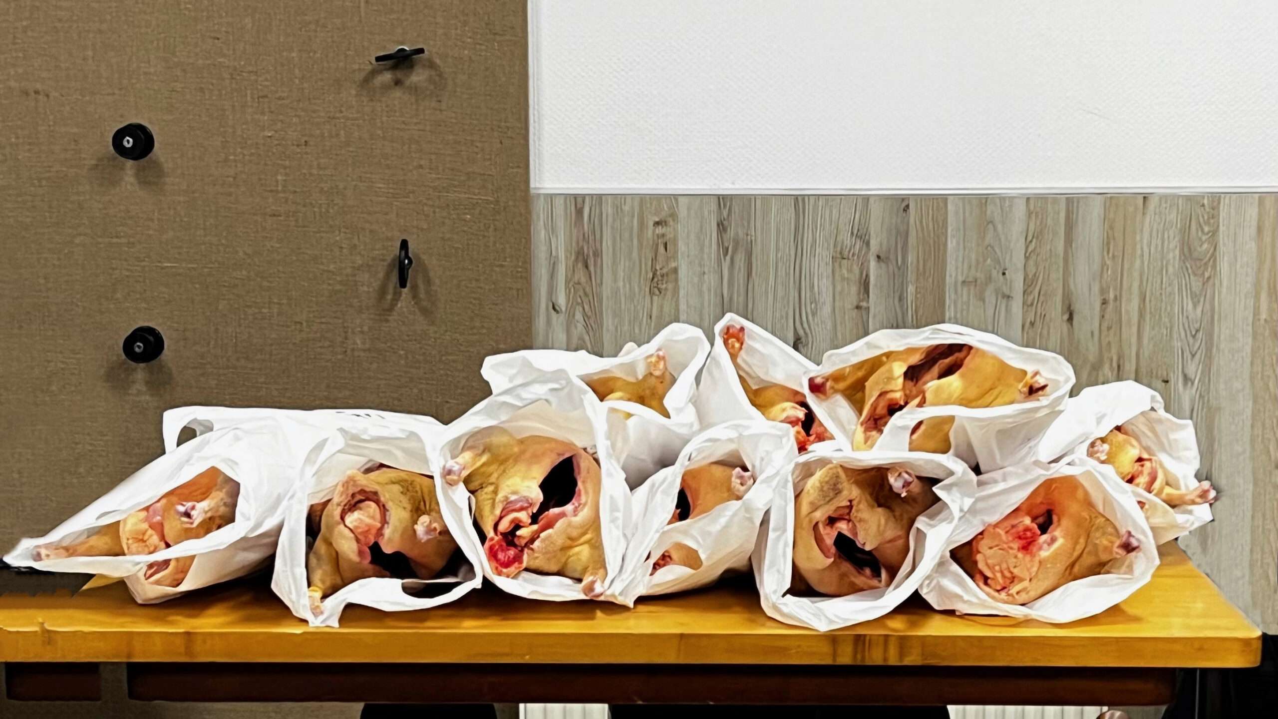 11 Biogänse