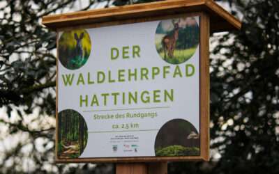 Der Waldlehrpfad