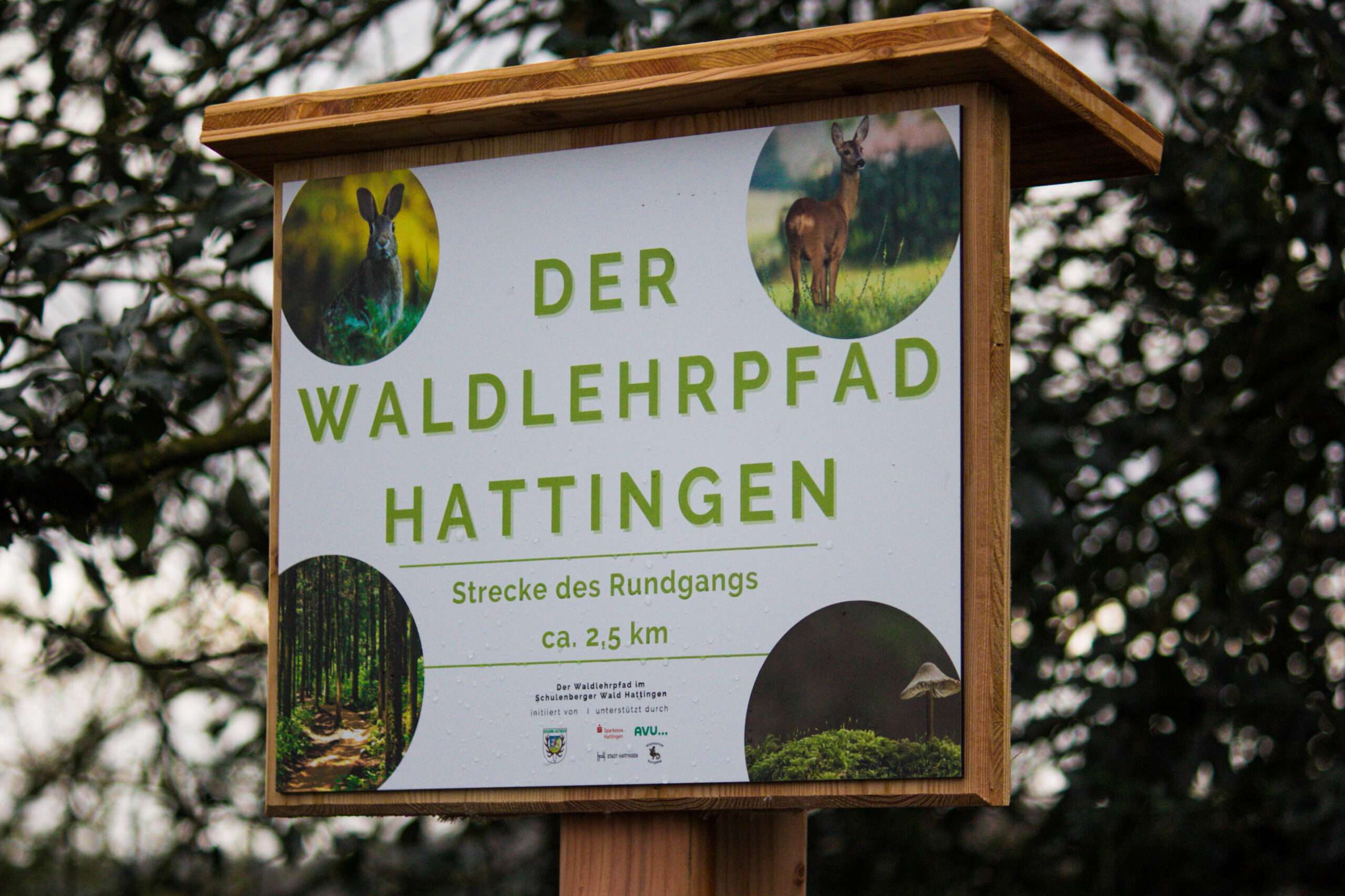 Eingangsschild - Waldlehrpfad - Hegering Hattingen