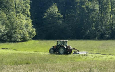 Mahd mit gutem Gewissen