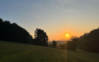 auch heute Morgen…